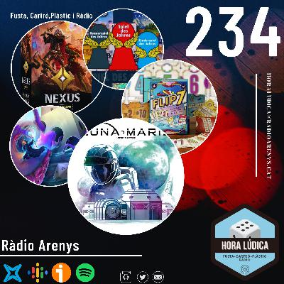 Programa 234