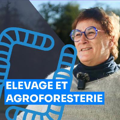 Intégrer l’arbre en élevage : biodiversité, fourrage, litière, compost, la ferme Hoeffel