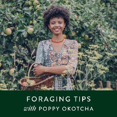 Gardening: The golden rules of foraging with Poppy Okotcha Gardening: The golden rules of foraging with Poppy Okotcha
