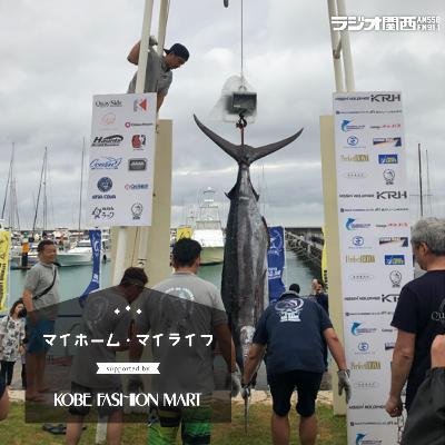 #26「冒険に出るようなイメージ」カジキ釣りに必要な道具とは #26「冒険に出るようなイメージ」カジキ釣りに必要な道具とは