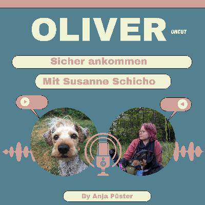 Sicher ankommen