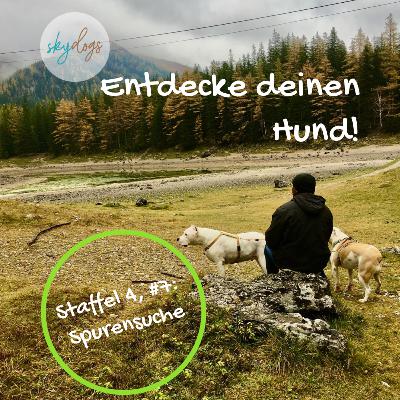 Spurensuche von Anne Lill Kvam