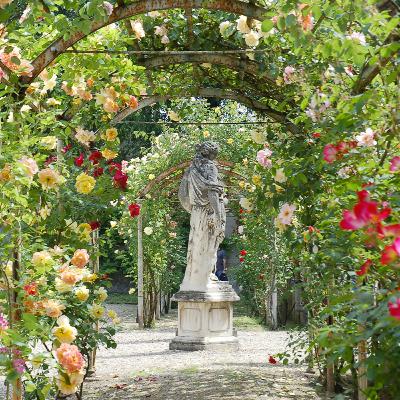 Ep. 11 - Orto Botanico di Pavia | I parte