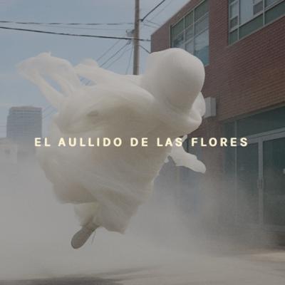 03. El viento y la consciencia