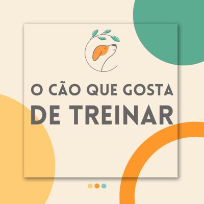 #EP 14 - Treino mais divertido #EP 14 - Treino mais divertido