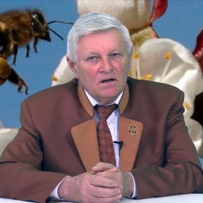 Sú možné radikálne zmeny v technológii včelárenia?