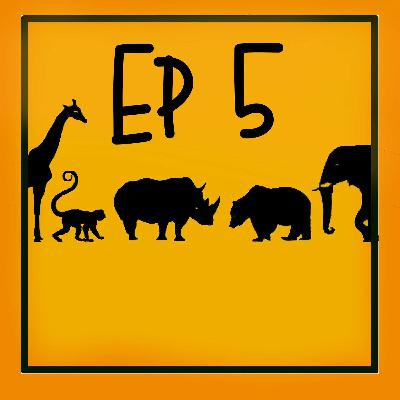 Los celos en el perro, bajo investigación