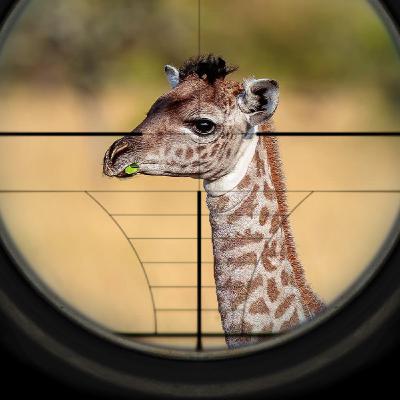 Episode 83 - We Hebben Een Serieus Probleem Episode 83 - We Hebben Een Serieus Probleem