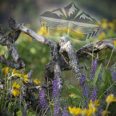 Star Chart: Of Flowers, Snakes, and Fairy Trinkets Star Chart: Of Flowers, Snakes, and Fairy Trinkets