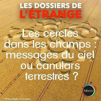 Les cercles dans les champs : Messages du ciel ou canulars terrestres ? Les cercles dans les champs : Messages du ciel ou canulars terrestres ?