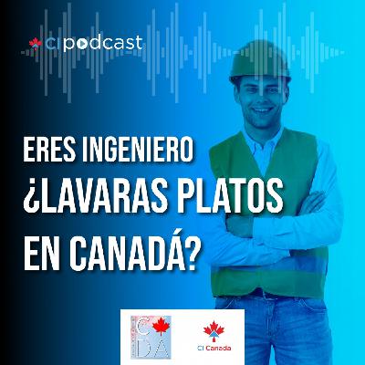 #9 Eres ingeniero, Lavaré platos en Canada?