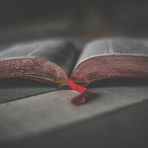 Episode 35 - The Church of Wells