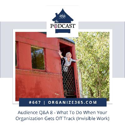 667 - Audience Q&A 8 - What To Do When Your Organization Gets Off Track (Invisible Work)