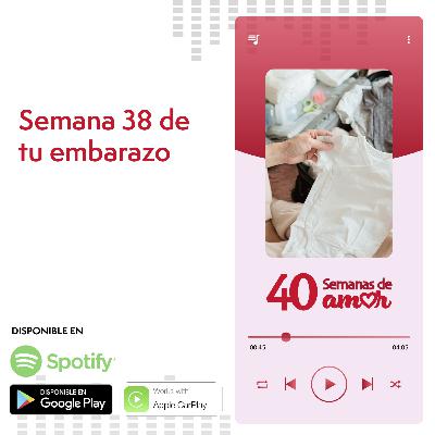 40 Semanas de Amor - Semana 38 de Embarazo