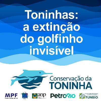 O som da Toninha O som da Toninha