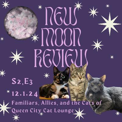 S2, Ep 3: Familiars, Allies, and the cats of Queen City Cat Lounge, December's New Moon in Sagittarius ♐️ 🌑 S2, Ep 3: Familiars, Allies, and the cats of Queen City Cat Lounge, December's New Moon in Sagittarius ♐️ 🌑