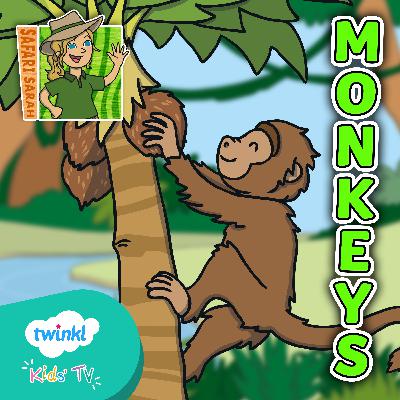 Monkeys Quiz for Kids