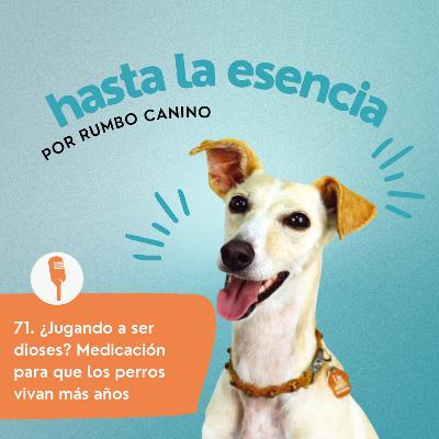 71. ¿Y si tu perro pudiera vivir 30 años? Debate ético y científico 71. ¿Y si tu perro pudiera vivir 30 años? Debate ético y científico