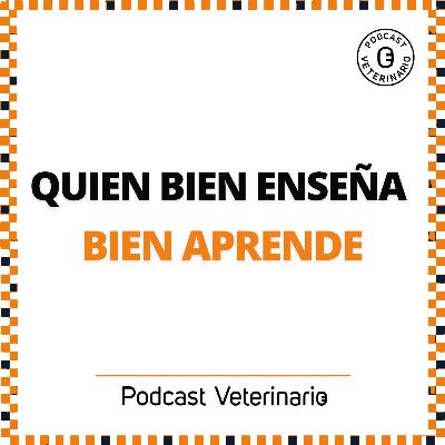 Quien bien enseña, bien aprende…