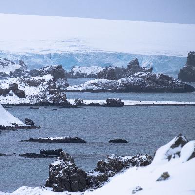 La purificación de nuestra fe