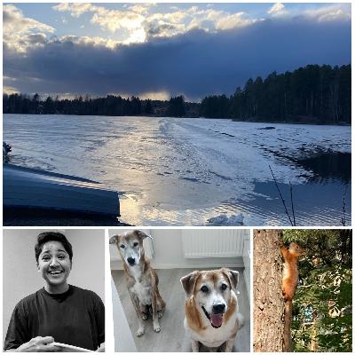 Frazer's Flowering and Withering Away Frazer's Flowering and Withering Away