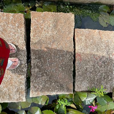 BONUS: Story Craft Conversation with Aru Nair on Journey Through Generations