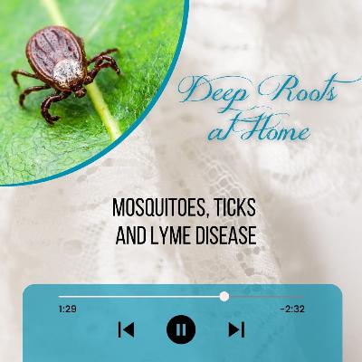 Mosquitoes, Ticks and Lyme Disease