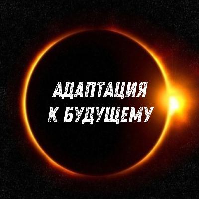 Женская агрессия Женская агрессия