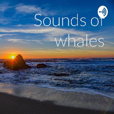 Sounds of whales (Trailer)