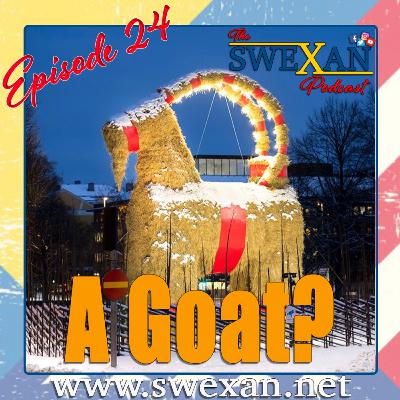 24. A Goat?