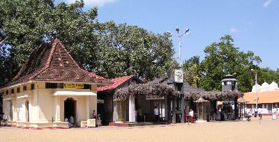 Ep. 13: Stories of Sri Lankan serendipity