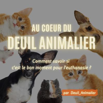 Épisode #6: Comment savoir si c’est le bon moment pour l’euthanasie de son animal ?