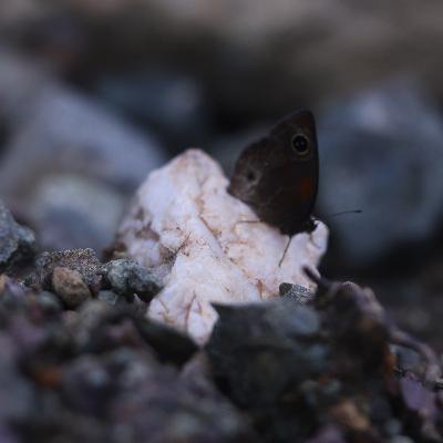 Tocar fondo y renacer...