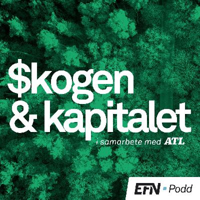 Skogen & Kapitalet: Vatten utmaning i skogen