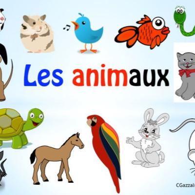 Animals in French