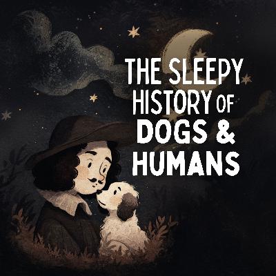 The Sleepy History of Dogs & Humans (Premium)