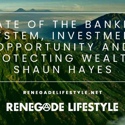 State of the Banking System, Investment Opportunity & Protecting Wealth: Shaun Hayes