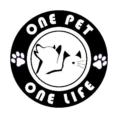 #020 - ONE PET ONE LIFE PODCAST: ¿Cómo Elegir la Mejor Arena para Gatos? Consejos y Tipos para un Gato Feliz