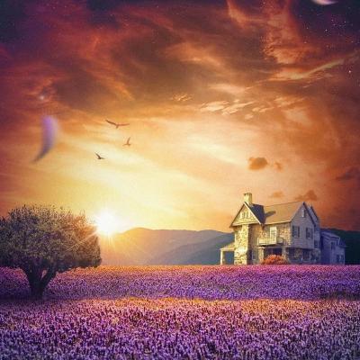 CEO mindset | intro