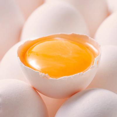 E78:鸡蛋的前世今生--卖鸡蛋的帅军官和你聊一聊