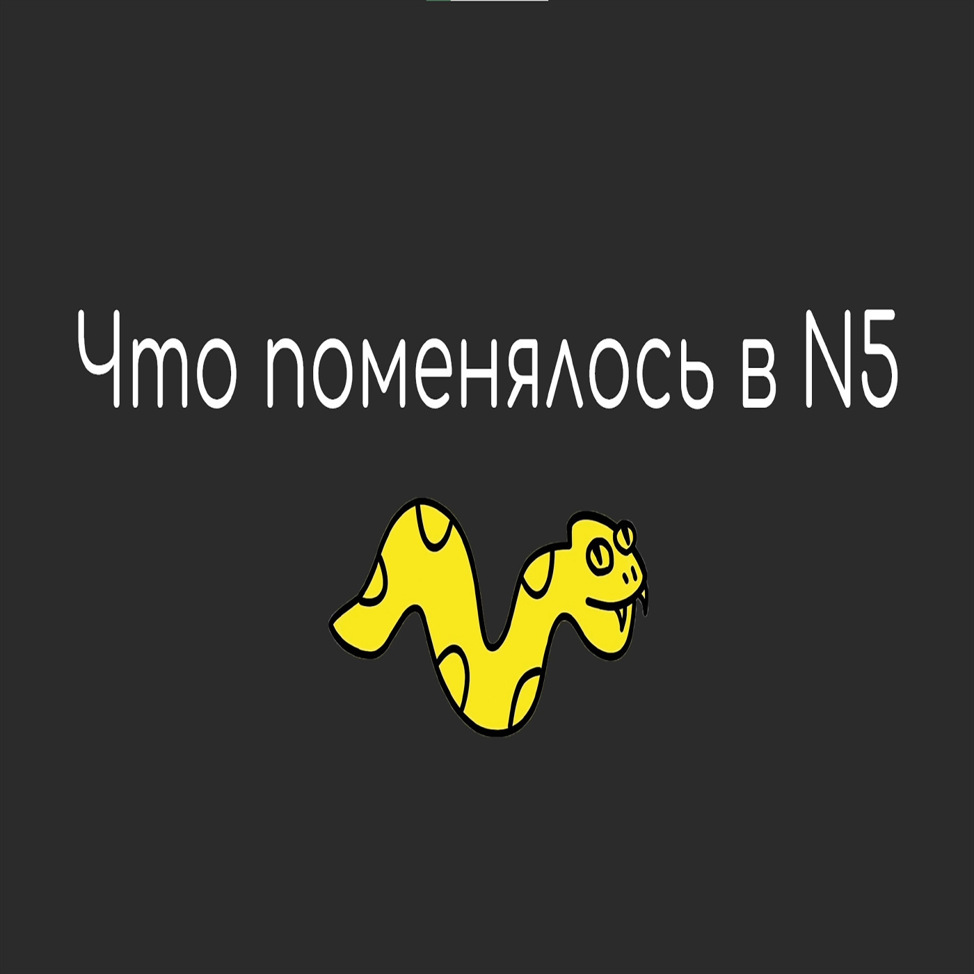 S4E2. Теперь уже действительно краткий обзор N5.