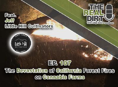 The Devastation of the California Forest Fires on Cannabis Farms