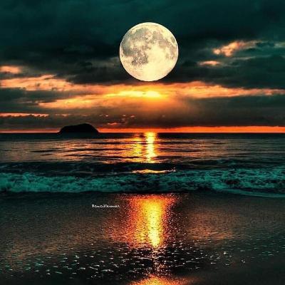 Magical Full Moon & Portal Manifestations