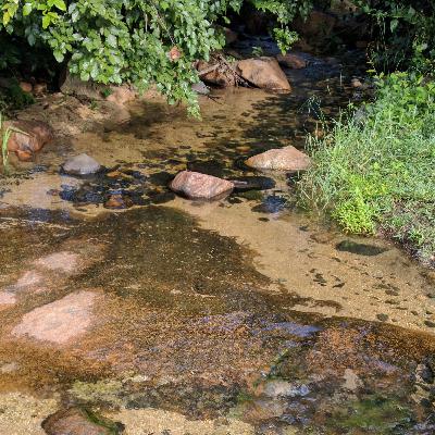 River Stream from Forest Ep_8
