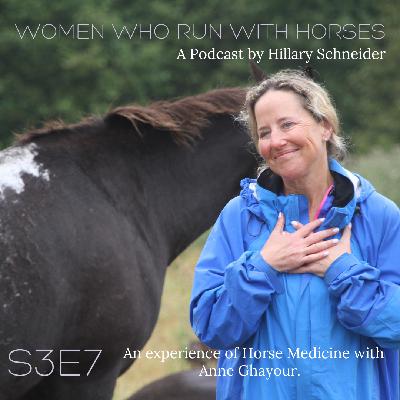 An Experience of Horse Medicine with Anne Ghayour. An Experience of Horse Medicine with Anne Ghayour.
