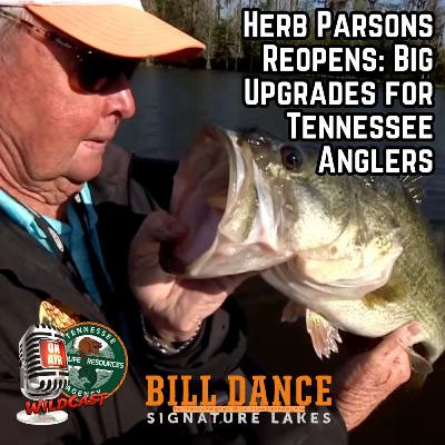 #472 Herb Parsons Reopens: Big Upgrades for Tennessee Anglers #472 Herb Parsons Reopens: Big Upgrades for Tennessee Anglers
