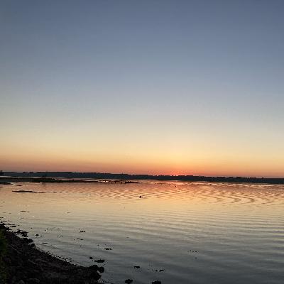 Tập 4: Con bò của tôi