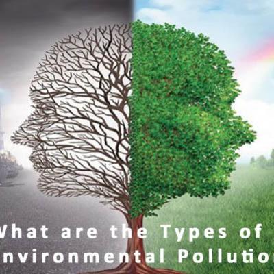 Essay on Environmental Pollution