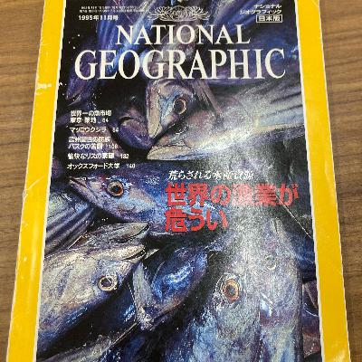 みんなの水産キャリア#3「競り人からMSCを経てお魚の先生に!?」【ゲスト:鈴木允さん】 みんなの水産キャリア#3「競り人からMSCを経てお魚の先生に!?」【ゲスト:鈴木允さん】