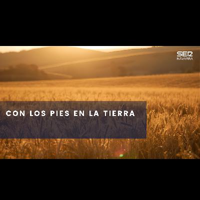 Con los pies en la tierra: el cambio climático en la agricultura Con los pies en la tierra: el cambio climático en la agricultura
